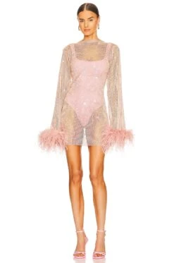 Feathers Mini Dress Blush